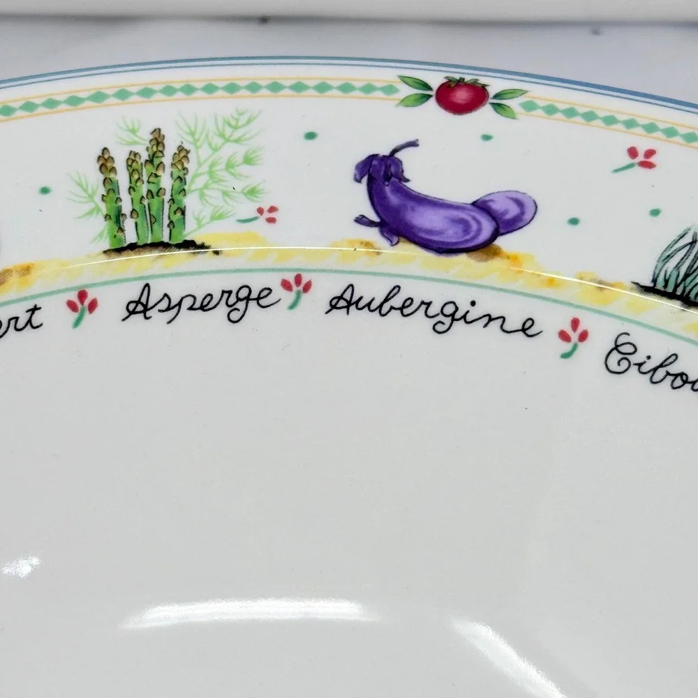 Mikasa Garden Lane DX012 Pasta Bowl  11.5 Inch